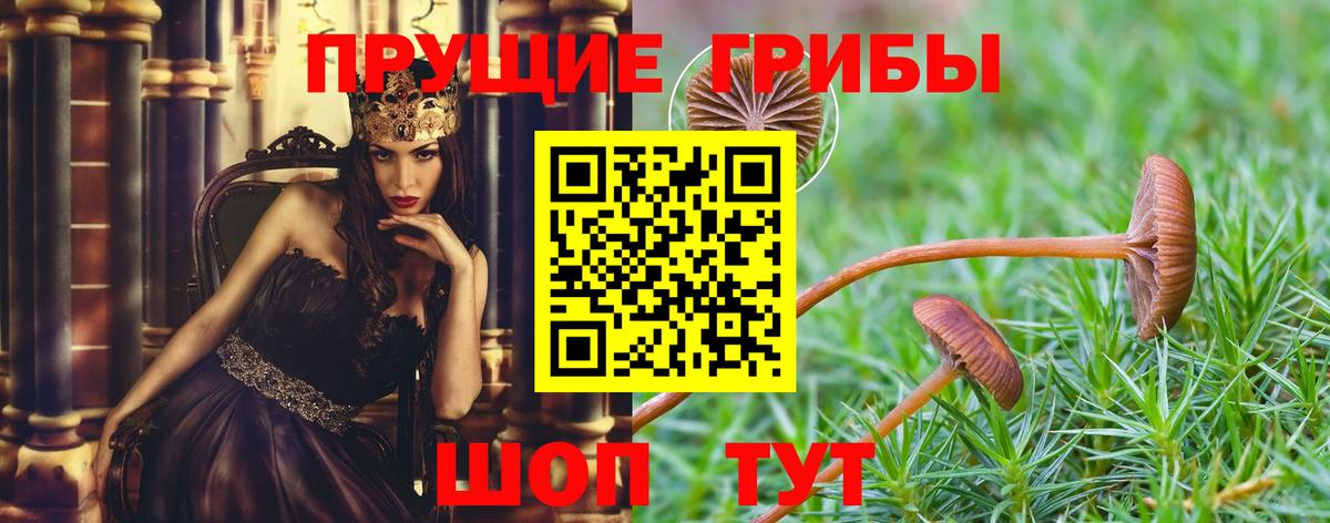Псилоцибиновые грибы GOLDEN TEACHER Михайловск