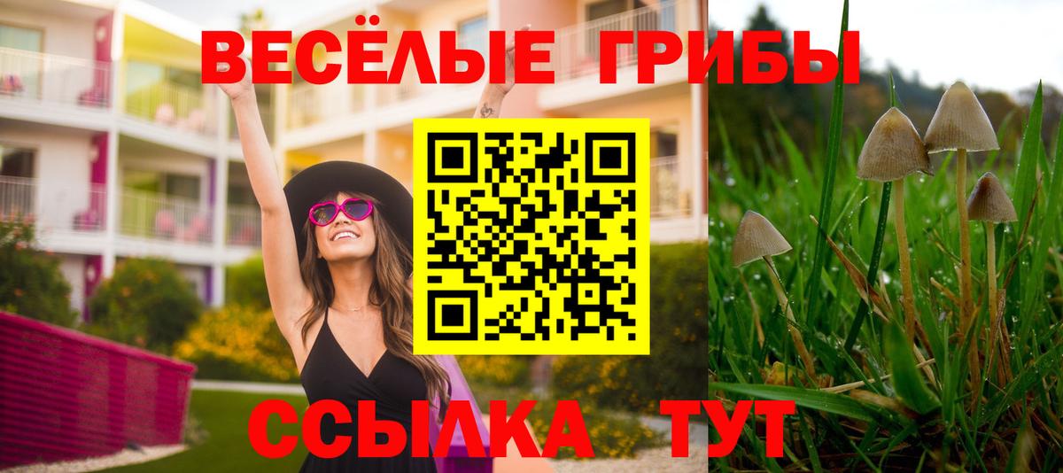 Михайловск  что такое   Вход с VPN  Галлюциногенные грибы Magic Shrooms 