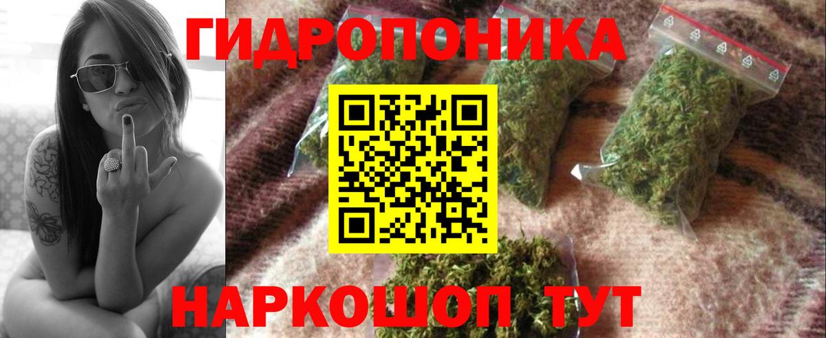 Марихуана марихуана  Вход с VPN  Михайловск  Марихуана гибрид  Бошки Шишки Ganja  Бошки Шишки семена 